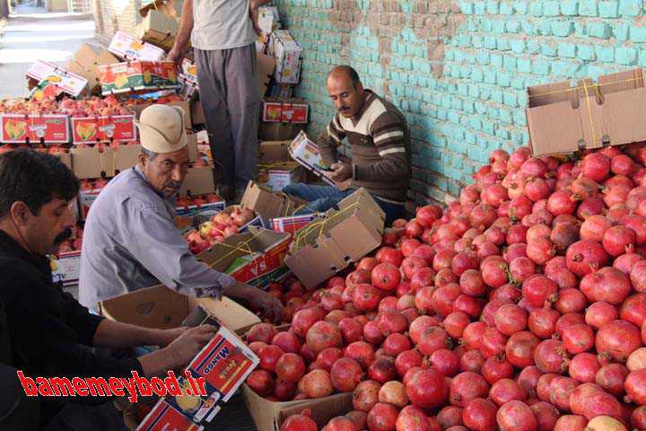 جشنواره انار