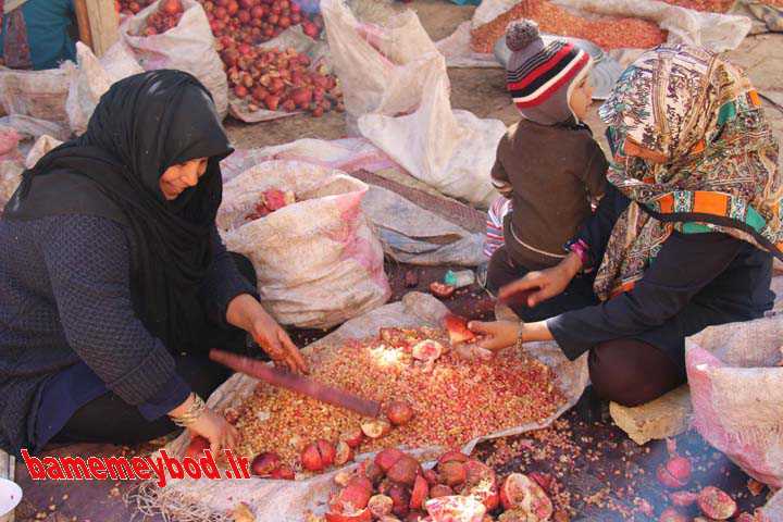 جشنواره انار