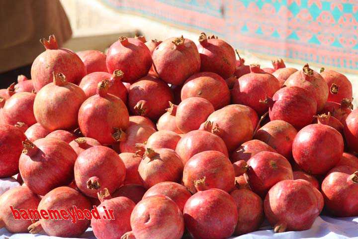 برگزاری جشنواره انار میخوش در میبد 