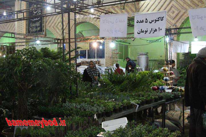 برگزاری نمایشگاه گل و گیاه در میبد