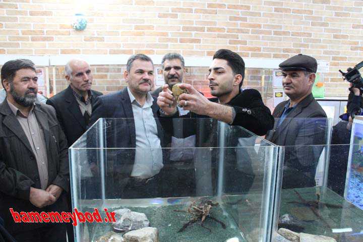 باغ پرندگان 