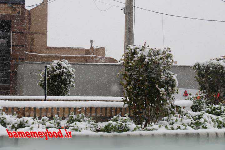 بارش برف در میبد