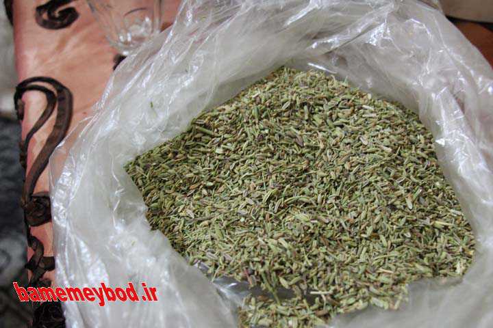 کسب و کار خانگی روغن‌گیری